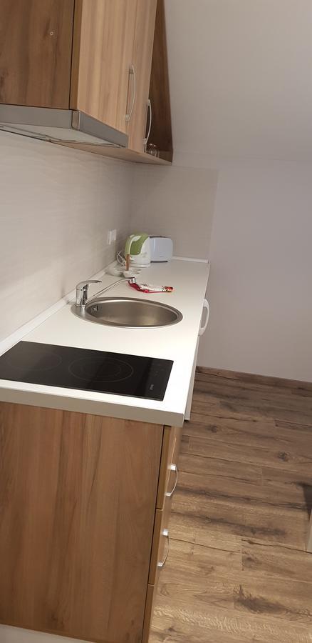 Apartmani Studio Nagybecskerek Kültér fotó